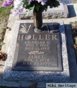Jane L Holler