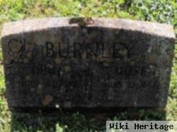 Moses Burnley