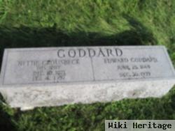 Edward Goddard