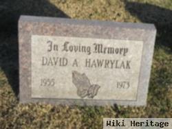 David A. Hawrylak