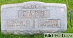 Sarah Knott Carr