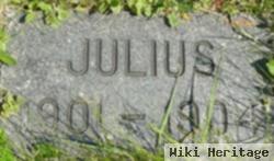 Julius Hanson