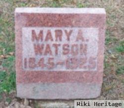 Mary Ann Amess Watson