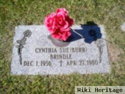 Cynthia Sue Burr Brindle