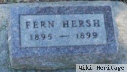 Fern Hersh