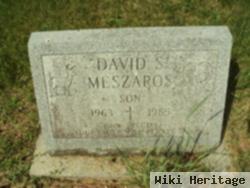 David S Meszaros