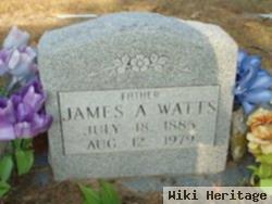 James A Watts