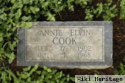 Annie Elvin Cook