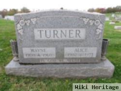 Alice Caroline Nabb Turner