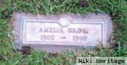 Amelia Molle Lutz Gross