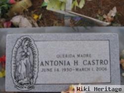 Antonia H Castro