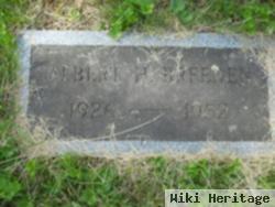 Albert H Breeden