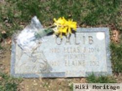 Elaine Kalil Galib