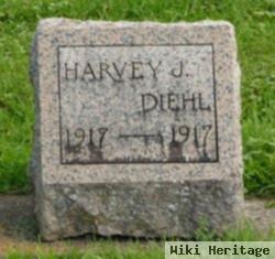 Harvey J Diehl