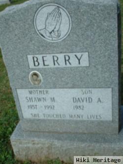 Shawn M Berry