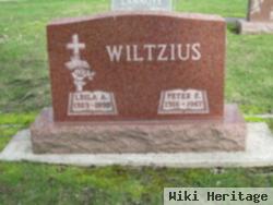 Peter F. Wiltzius