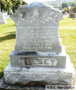 William H Geesey