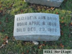 Elizabeth Ann Brod