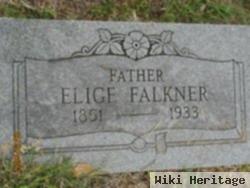 Elige Falkner