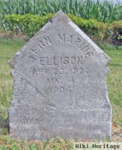 Fern Marine Ellison