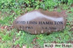 David Linn Hamilton