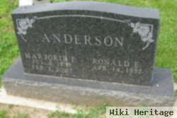 Ronald E Anderson