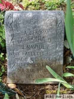 Gorgonia O Benavidez