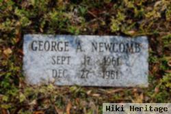 George Albert Newcomb