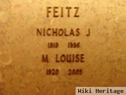 Nicholas J Feitz
