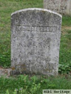 William Beebe