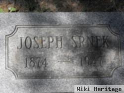 Joseph Srnek