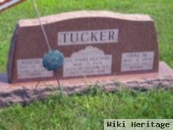 Royse A. Tucker