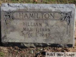 William A Hamilton