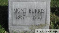 Mont Burris