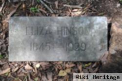 Eliza V Seay Hinson