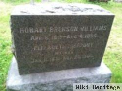 Hobart Bronson Williams