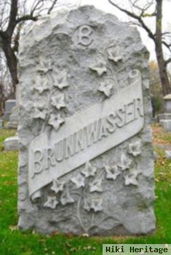 Max Brunnwasser