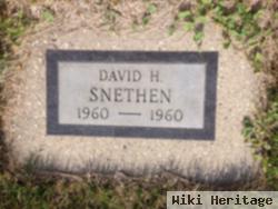 David H Snethen