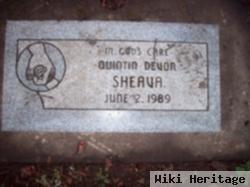 Quintin Devon Sheava