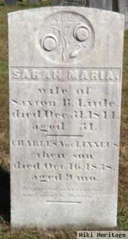 Sarah Maria Little