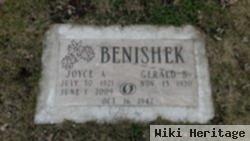 Joyce A. Rammer Benishek