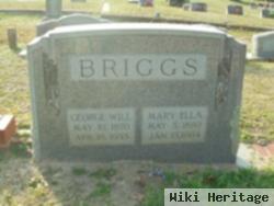 George Will Briggs