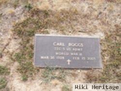 Carl Boggs