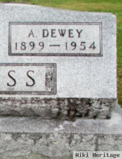 Adam Dewey Reiss