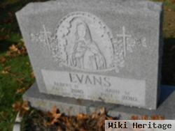 Albert N Evans