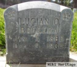 Lucian Ortiz Breceda