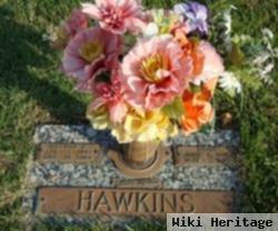 Arthur Martin Hawkins