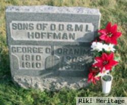 Oran M Hoffman