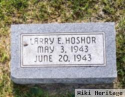 Larry E. Hoshor