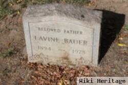 Lavine Bauer